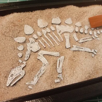 DINO ZEN GARDEN - Vườn Cát Khảo Cổ Khủng Long