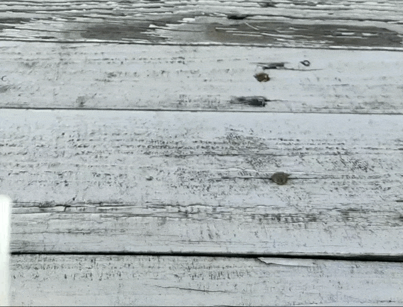 Bộ Kit Card Nỏ Mini In 3D - Lực Kéo 3KG!