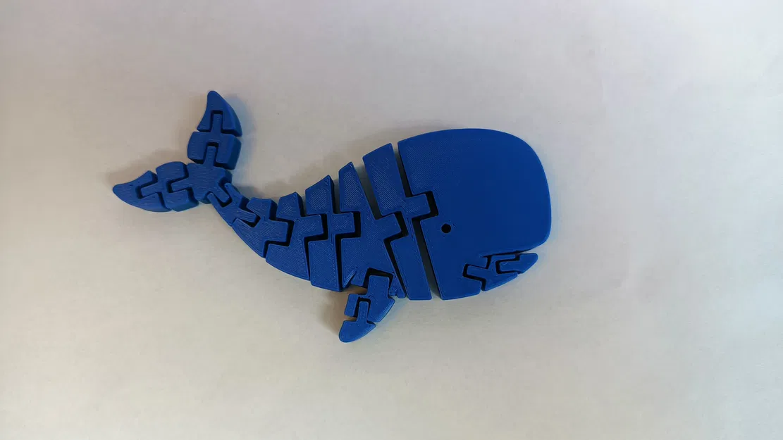 Đồ chơi cá voi Flexi (Flexi Whale Toy) - Image 1