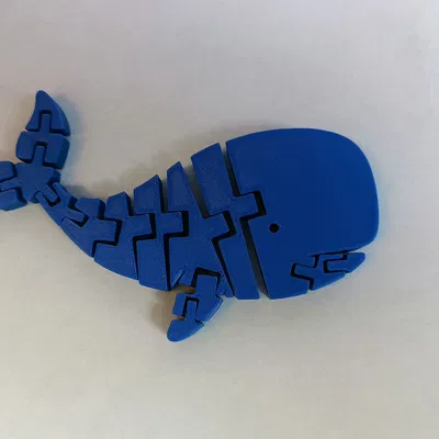 Đồ chơi cá voi Flexi (Flexi Whale Toy)