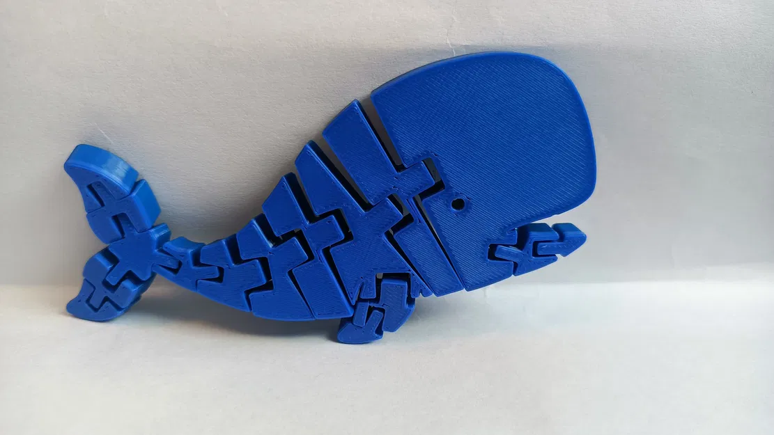 Đồ chơi cá voi Flexi (Flexi Whale Toy) - Image 2