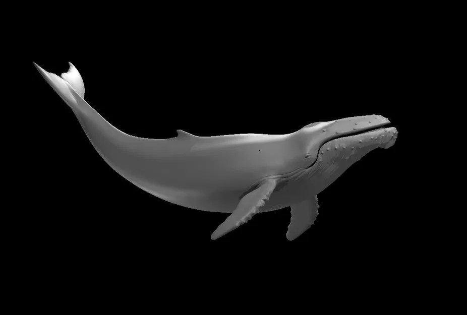 Mô hình Cá voi lưng gù mini - Image 1