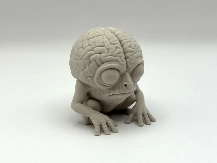 Bộ Sưu Tập Creepy Brainy - Những Mô Hình Não Bộ Độc Đáo - Image 8