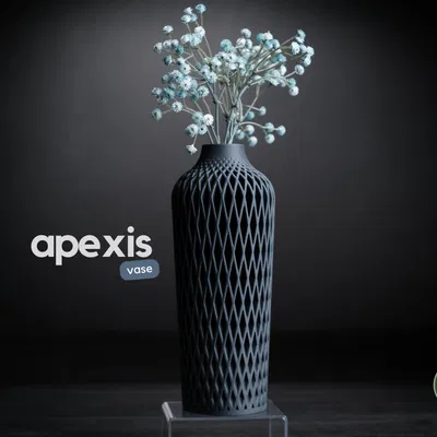 apexis · Bình hoa phong cách tối giản