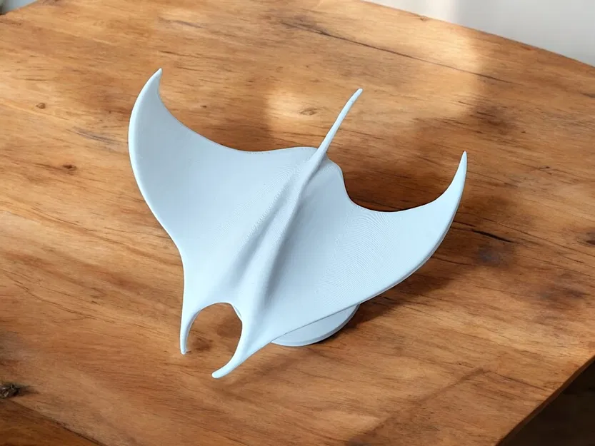 Tượng điêu khắc "The Manta" (Cá đuối Manta) - Image 5