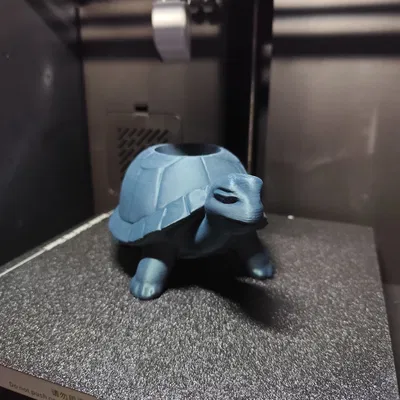 Chậu Cây Hình Chú Rùa Nhỏ Dễ Thương