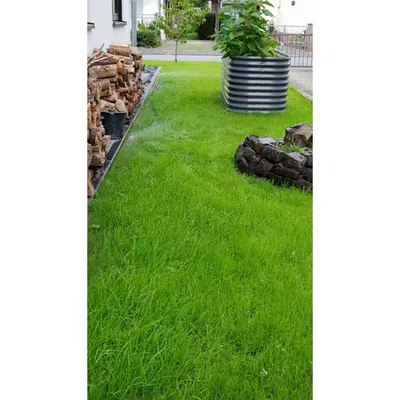 Hệ thống vòi tưới cây tự động (Tương thích Gardena)