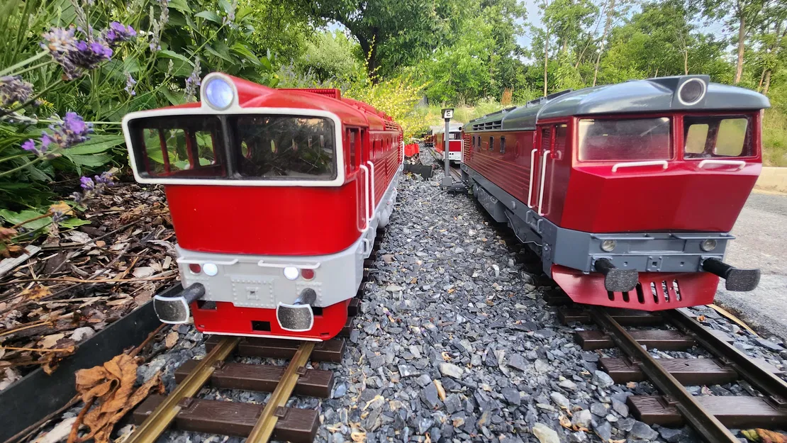 Đầu máy xe lửa Tiệp Khắc series 754 Brejlovec, tỷ lệ G - Image 2