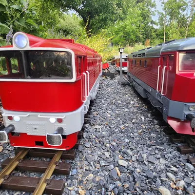 Đầu máy xe lửa Tiệp Khắc series 754 Brejlovec, tỷ lệ G