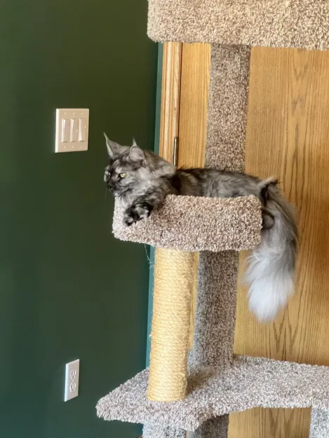 Mô hình Block - Thiết kế in 3D đa năng, bền bỉ và dễ sử dụng - Image 1