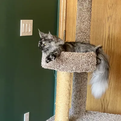 Mô hình Block - Thiết kế in 3D đa năng, bền bỉ và dễ sử dụng