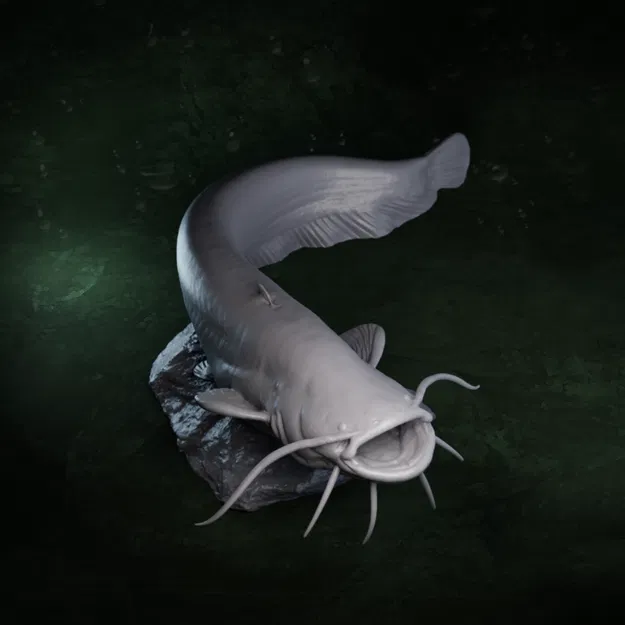 Mô hình tượng cá trê (Catfish) 3D chi tiết dùng trang trí - Image 1
