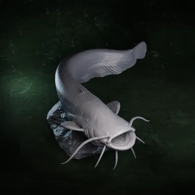 Mô hình tượng cá trê (Catfish) 3D chi tiết dùng trang trí