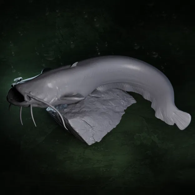 Mô hình tượng cá trê (Catfish) 3D chi tiết dùng trang trí - Image 2