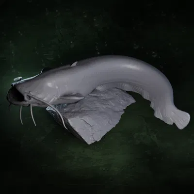 Mô hình tượng cá trê (Catfish) 3D chi tiết dùng trang trí