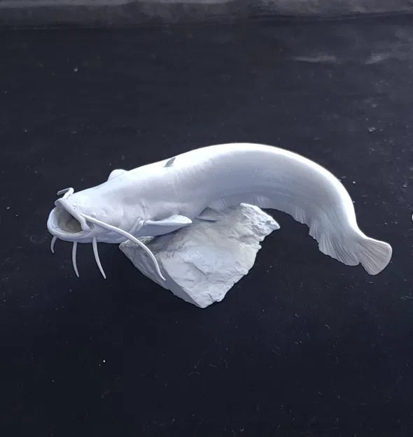 Mô hình tượng cá trê (Catfish) 3D chi tiết dùng trang trí - Image 3