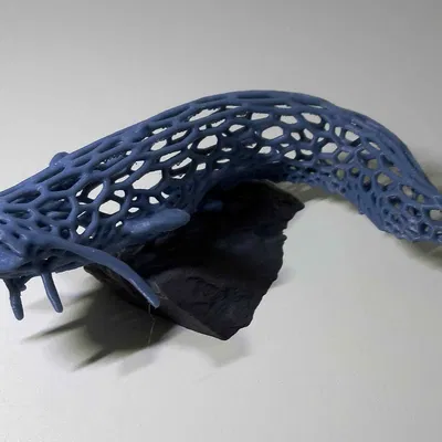 Mô hình cá trê Voronoi