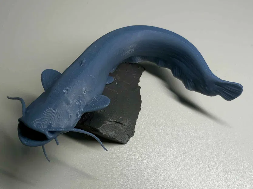 Mô hình cá trê Voronoi - Image 3