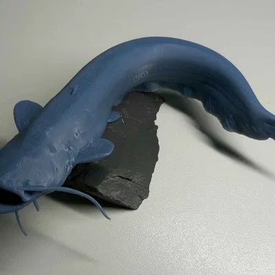 Mô hình cá trê Voronoi