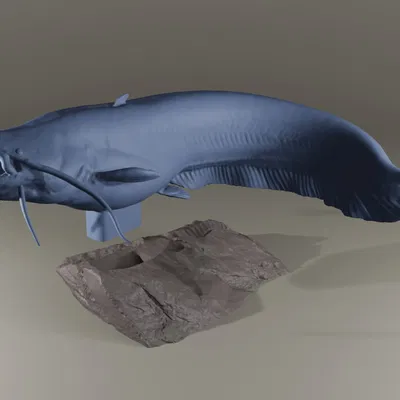 Mô hình Cá trê nhiều mảnh (Multi Part Catfish - Fusion360)