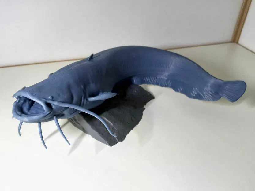 Mô hình Cá trê nhiều mảnh (Multi Part Catfish - Fusion360) - Image 2