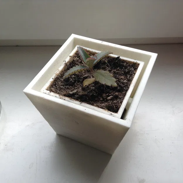 Chậu cây treo tường thông minh - Image 1