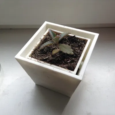 Chậu cây treo tường thông minh