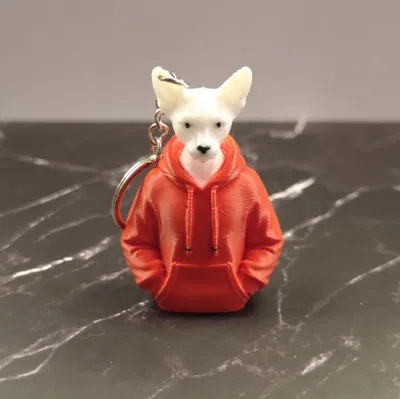 Mô hình mèo mặc áo hoodie 3D in - Phụ kiện móc khóa độc đáo