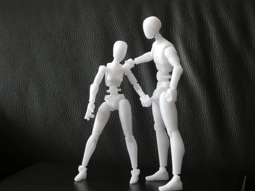 Mô hình khớp nối 3D linh hoạt cho cặp đôi đầy cảm xúc - Image 3