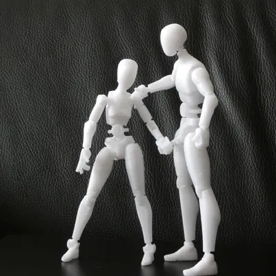 Mô hình khớp nối 3D linh hoạt cho cặp đôi đầy cảm xúc