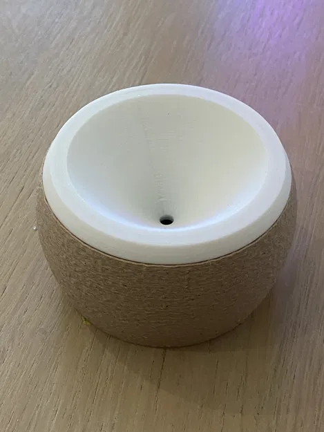 Bẫy ruồi giấm (Fruit Fly Trap) - Image 2