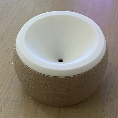 Bẫy ruồi giấm (Fruit Fly Trap)