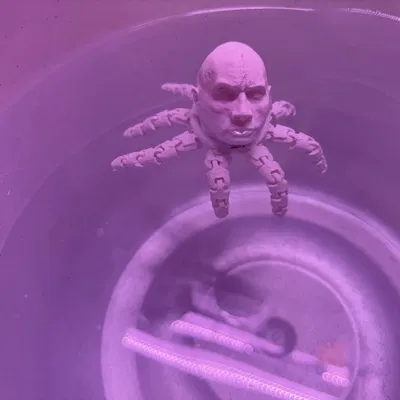 Rocktopus Nổi Trên Mặt Nước - Mẫu In 3D Độc Đáo