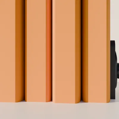 Chặn Sách Mèo Low Poly Xuyên Cổng