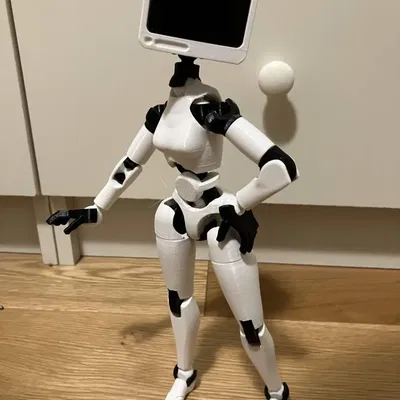 Mẫu đầu TV Carbon 13