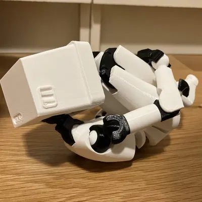 Mẫu đầu TV Carbon 13