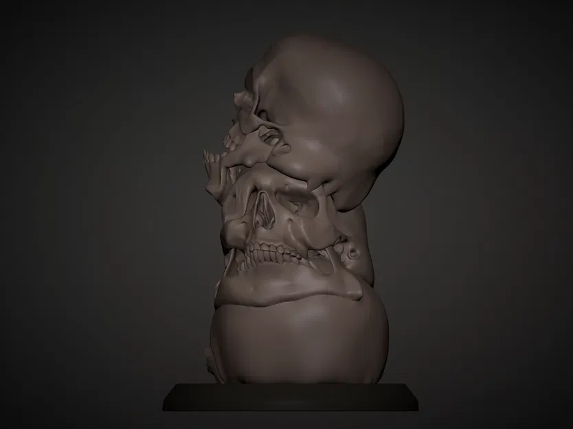 Eternal Echo – Tác phẩm điêu khắc hộp sọ tan chảy - Image 3