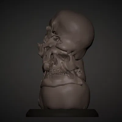 Eternal Echo – Tác phẩm điêu khắc hộp sọ tan chảy