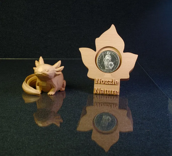 Mô hình Axolotl 3D và đế trưng bày xu gỗ độc đáo - Image 2