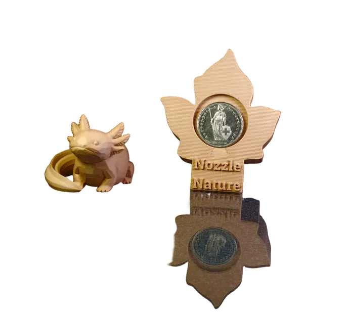 Mô hình Axolotl 3D và đế trưng bày xu gỗ độc đáo - Image 3