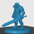 Dragonborn Fighter - Thumbnail 2