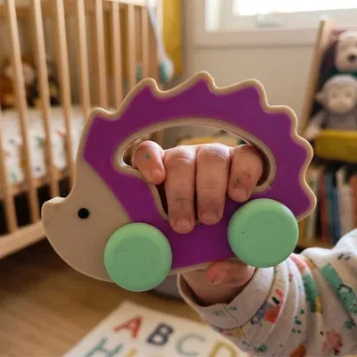 Chú Nhím Cảm Giác Biết Lăn – Đồ Chơi Montessori Độc Đáo