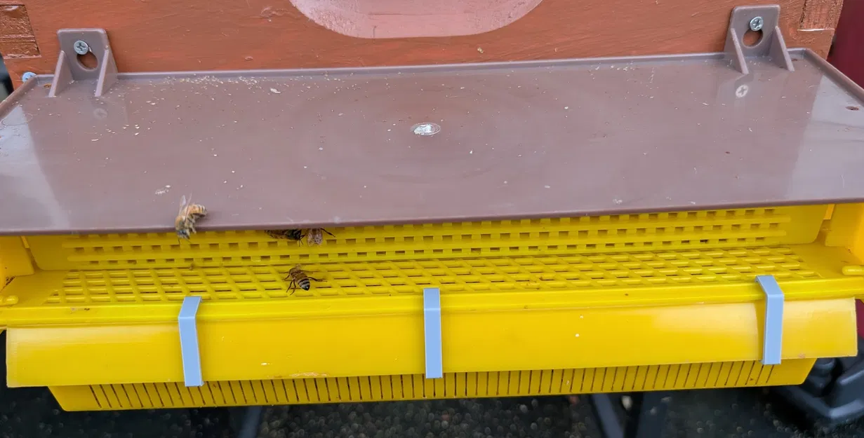 Kẹp giữ giỏ thu gom phấn hoa (Polen Trap Basket Clip) - Image 1