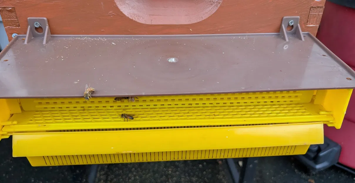 Kẹp giữ giỏ thu gom phấn hoa (Polen Trap Basket Clip) - Image 2