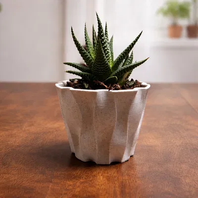 Chậu trồng cây hình học phong cách hiện đại