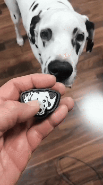 Móc khóa clicker hình chó đốm (Dalmation keychain clicker) - Thumbnail 1