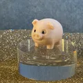 Tiny Cute Pig – Chú Heo Con Mini Siêu Cưng Dành Cho Người Mới - Thumbnail 3