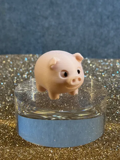 Tiny Cute Pig – Chú Heo Con Mini Siêu Cưng Dành Cho Người Mới - Image 4