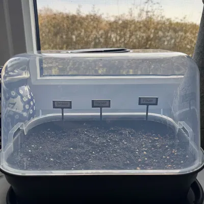 Giá cắm thẻ tên cho vườn thảo mộc, phù hợp đặt trên bệ cửa sổ