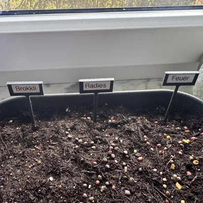 Giá cắm thẻ tên cho vườn thảo mộc, phù hợp đặt trên bệ cửa sổ